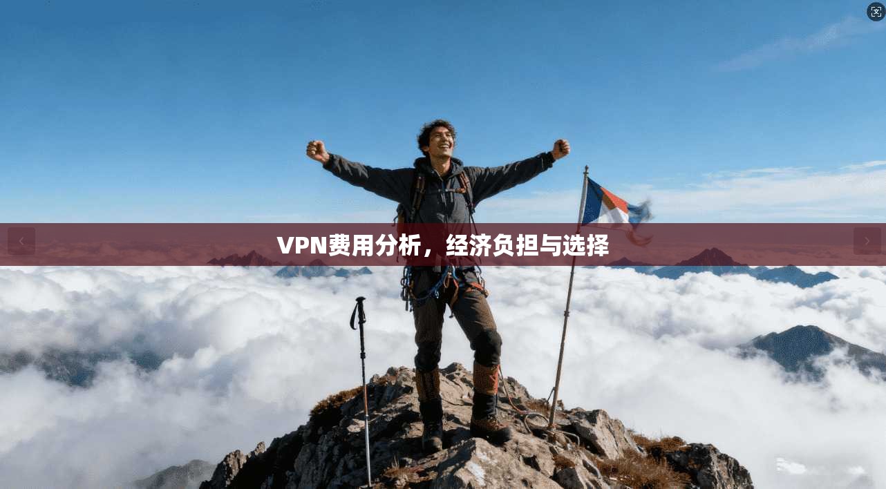 VPN费用分析，经济负担与选择