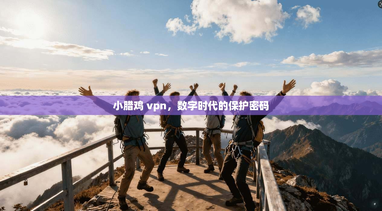小腊鸡 vpn，数字时代的保护密码