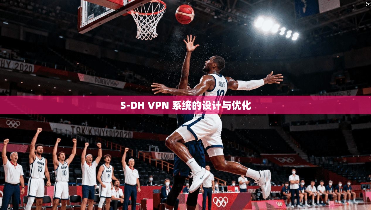 S-DH VPN 系统的设计与优化