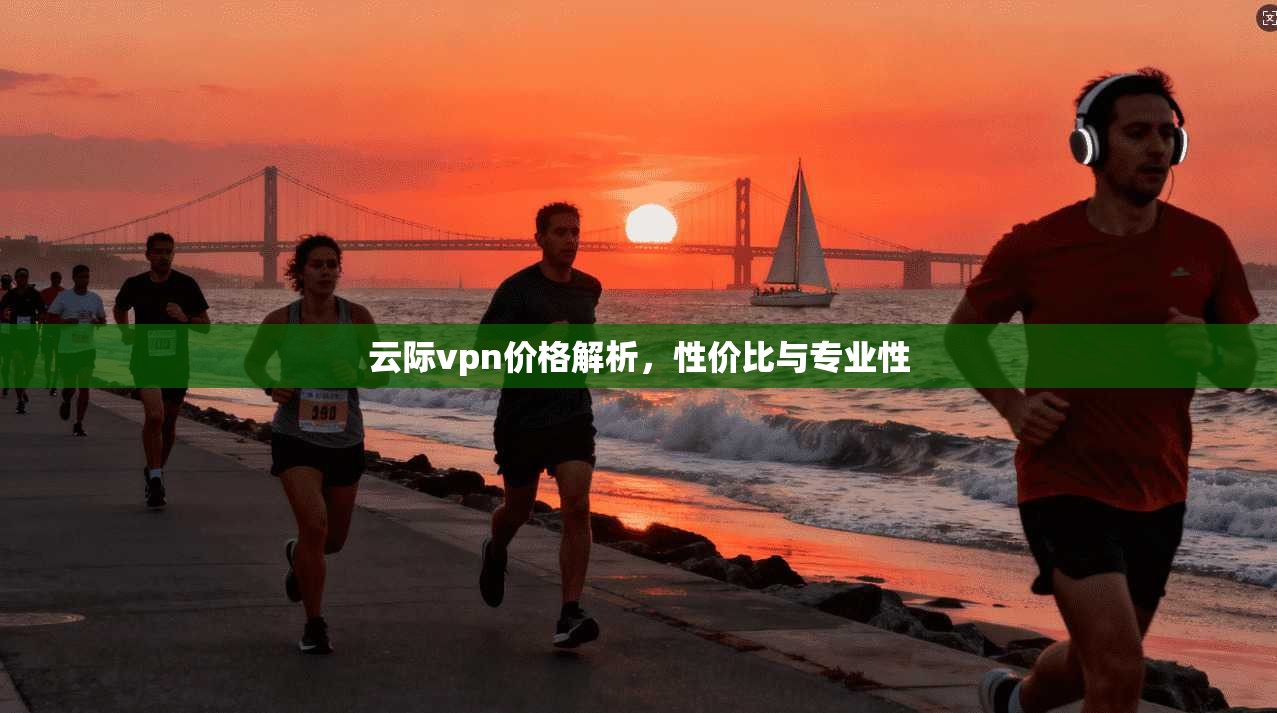 云际vpn价格解析，性价比与专业性