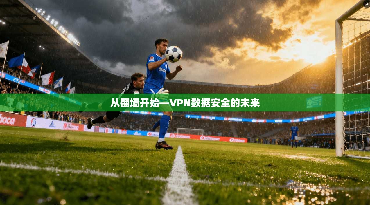 从翻墙开始—VPN数据安全的未来