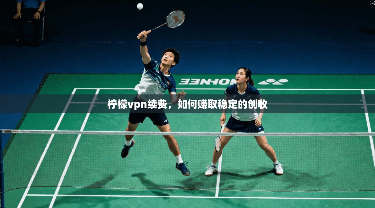 柠檬vpn续费，如何赚取稳定的创收
