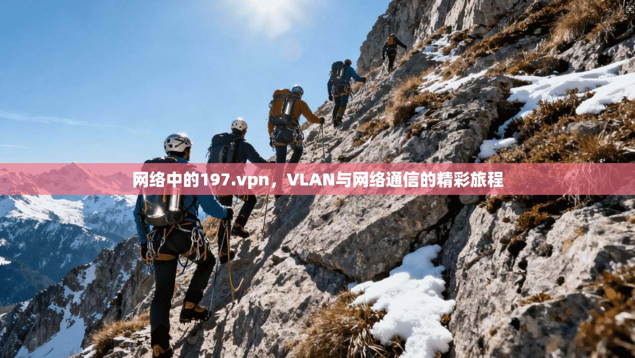 网络中的197.vpn，VLAN与网络通信的精彩旅程