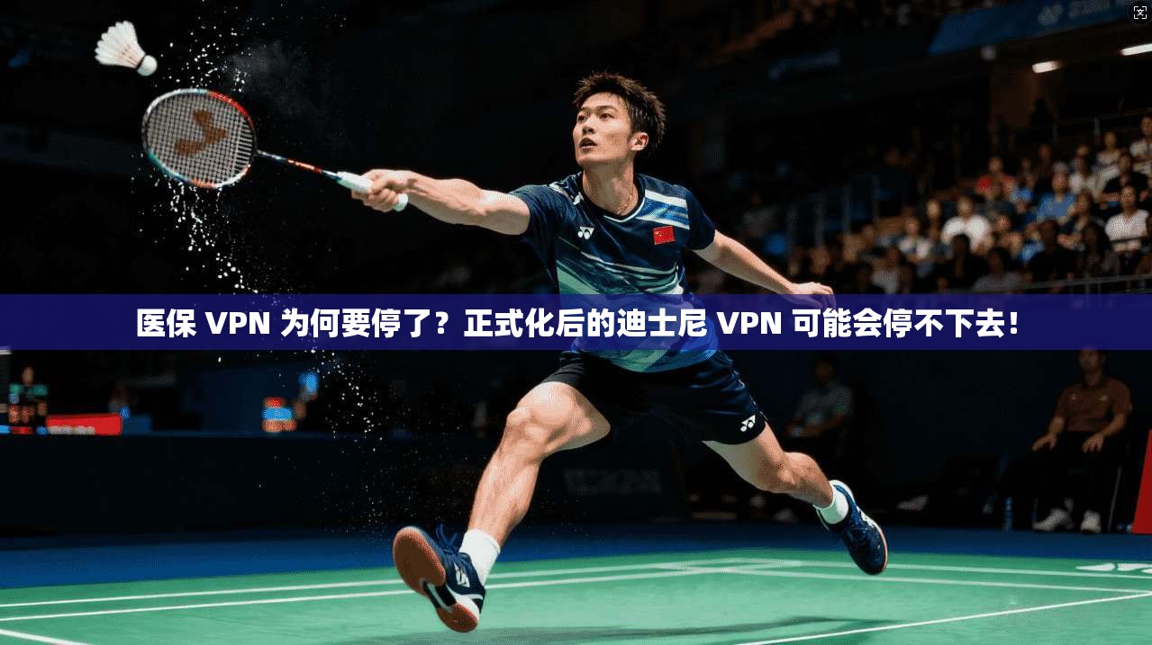 医保 VPN 为何要停了？正式化后的迪士尼 VPN 可能会停不下去！