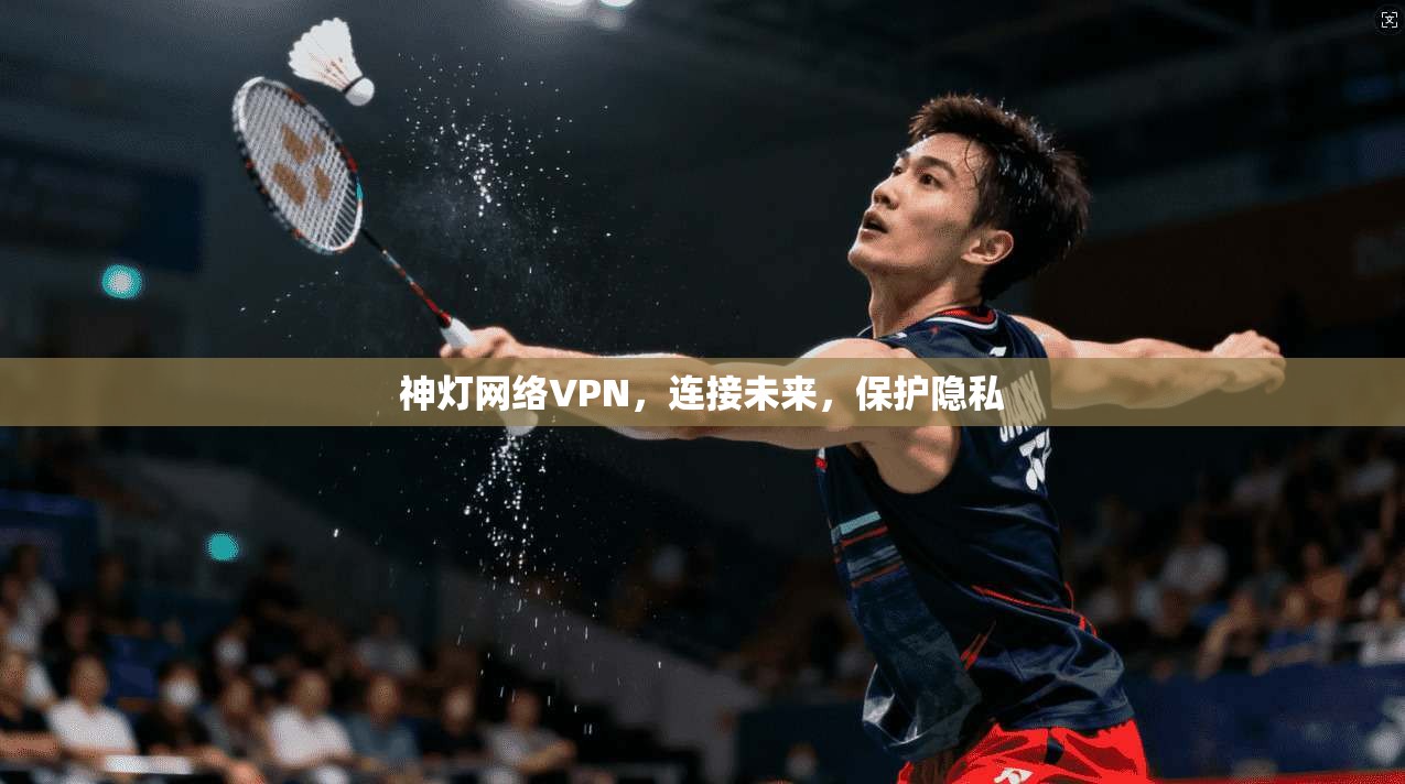 神灯网络VPN，连接未来，保护隐私