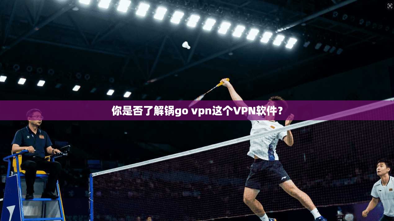 你是否了解锅go vpn这个VPN软件？