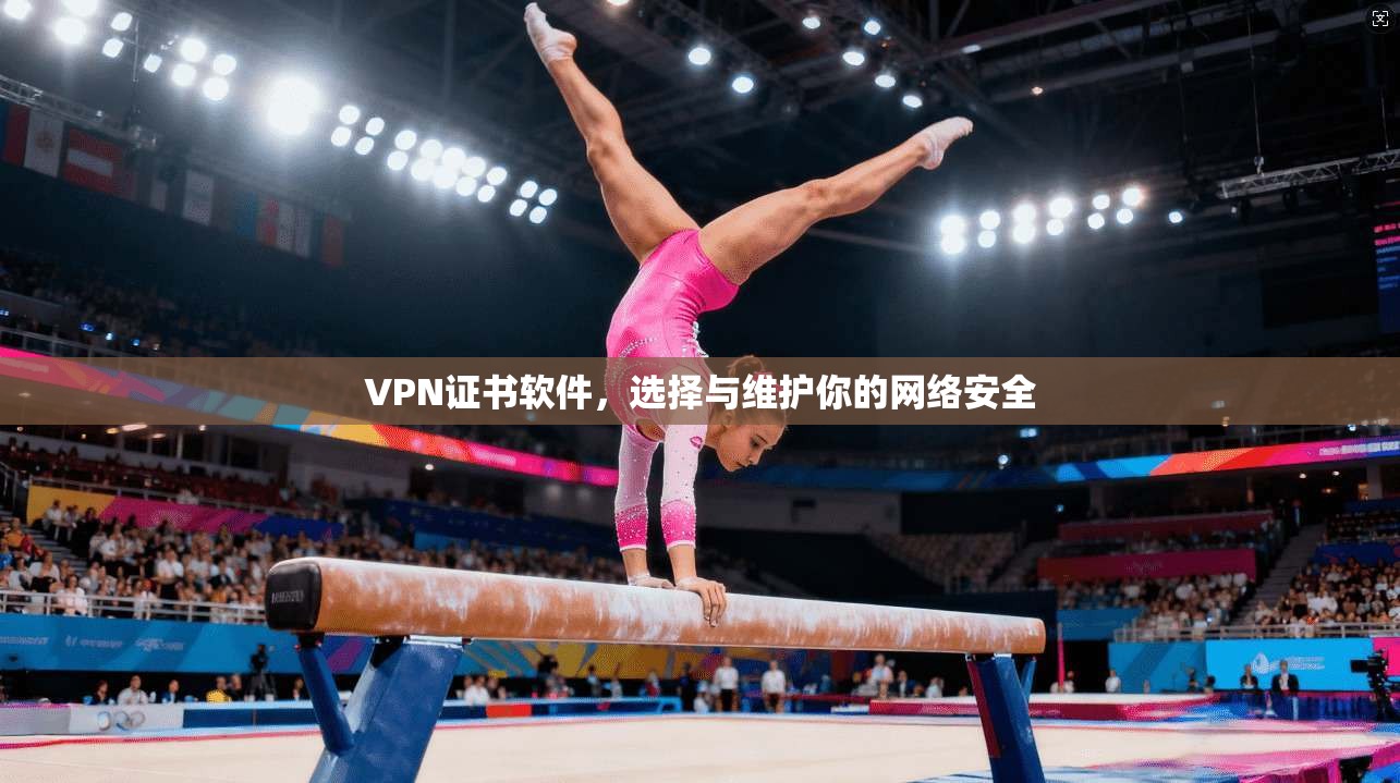 VPN证书软件，选择与维护你的网络安全