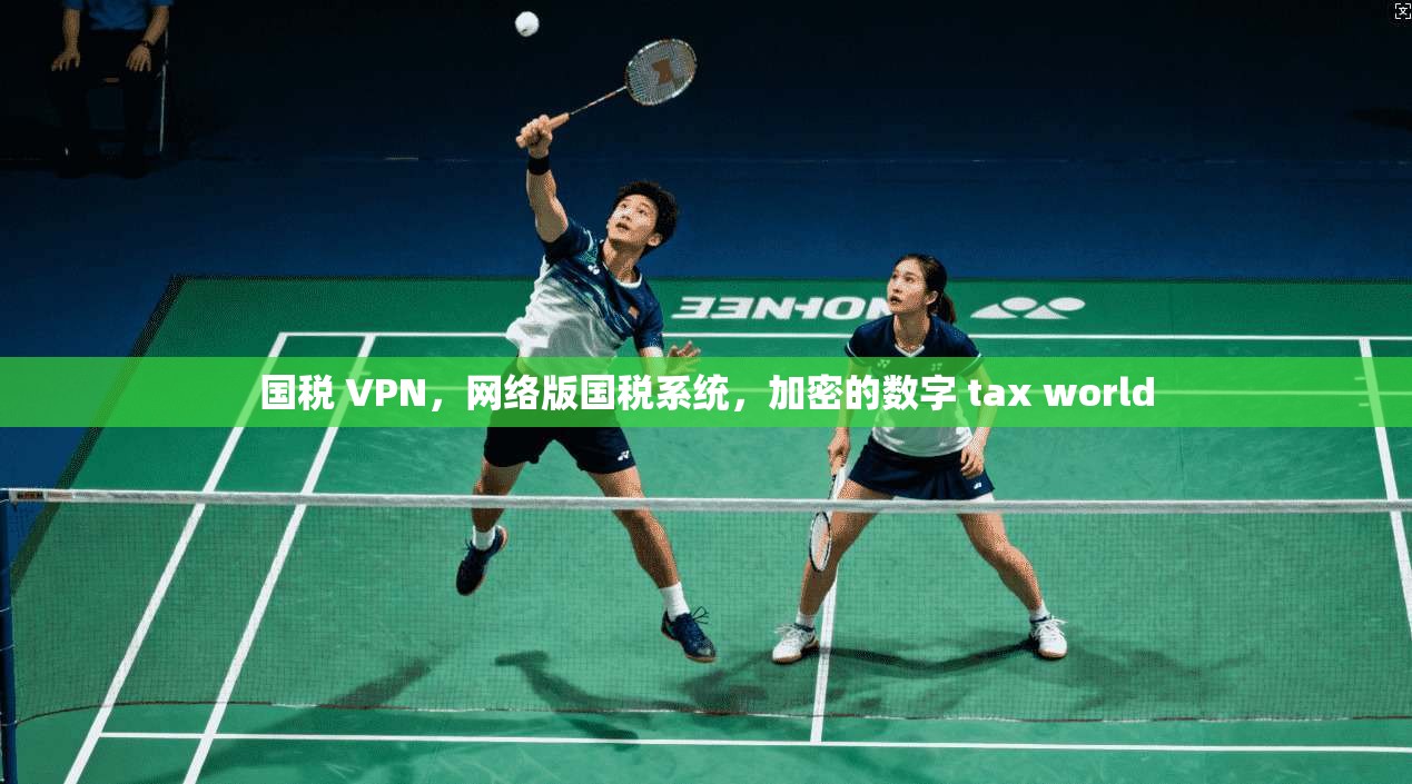 国税 VPN，网络版国税系统，加密的数字 tax world