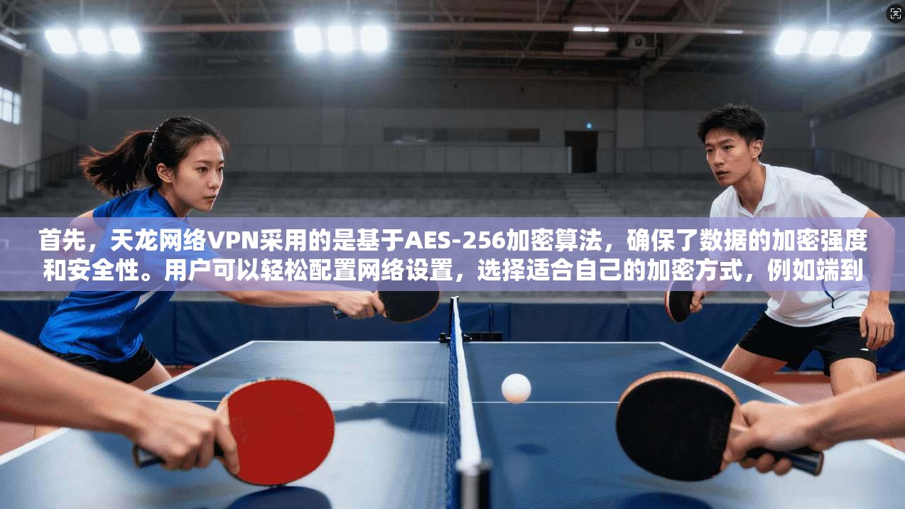 首先，天龙网络VPN采用的是基于AES-256加密算法，确保了数据的加密强度和安全性。用户可以轻松配置网络设置，选择适合自己的加密方式，例如端到端加密和端到端多设备支持，从而进一步增强网络的安全性