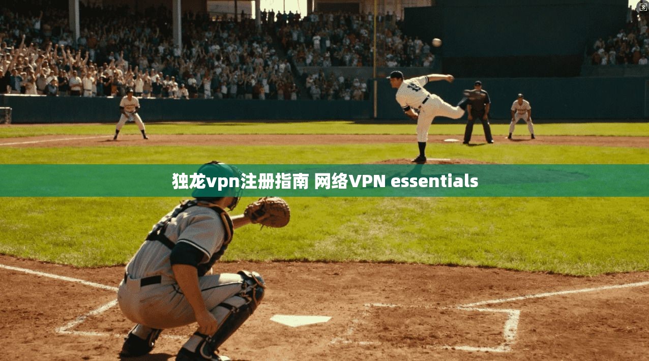 独龙vpn注册指南 网络VPN essentials