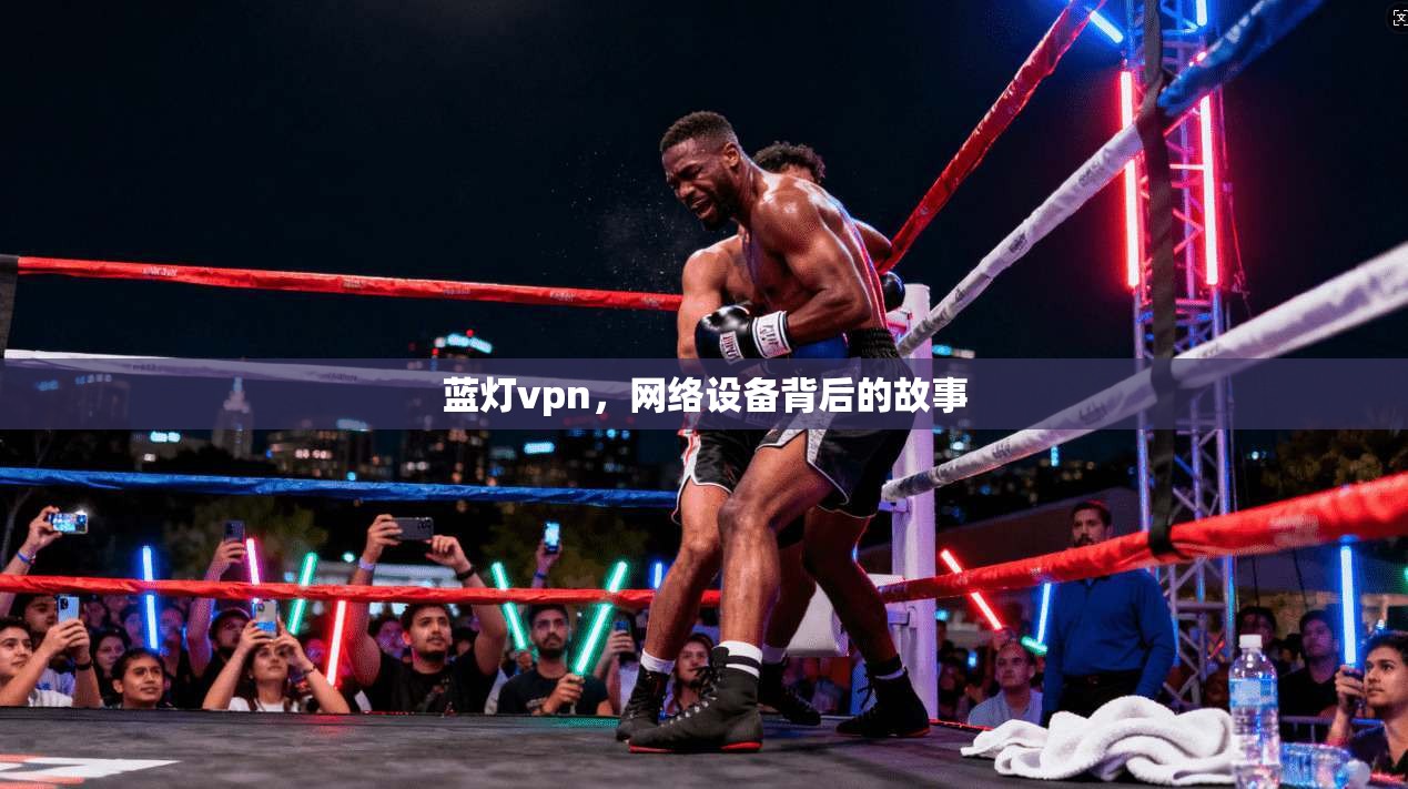蓝灯vpn，网络设备背后的故事