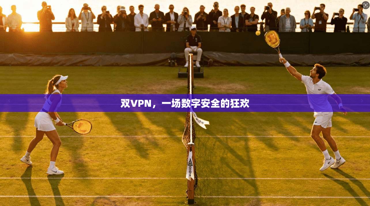 双VPN，一场数字安全的狂欢