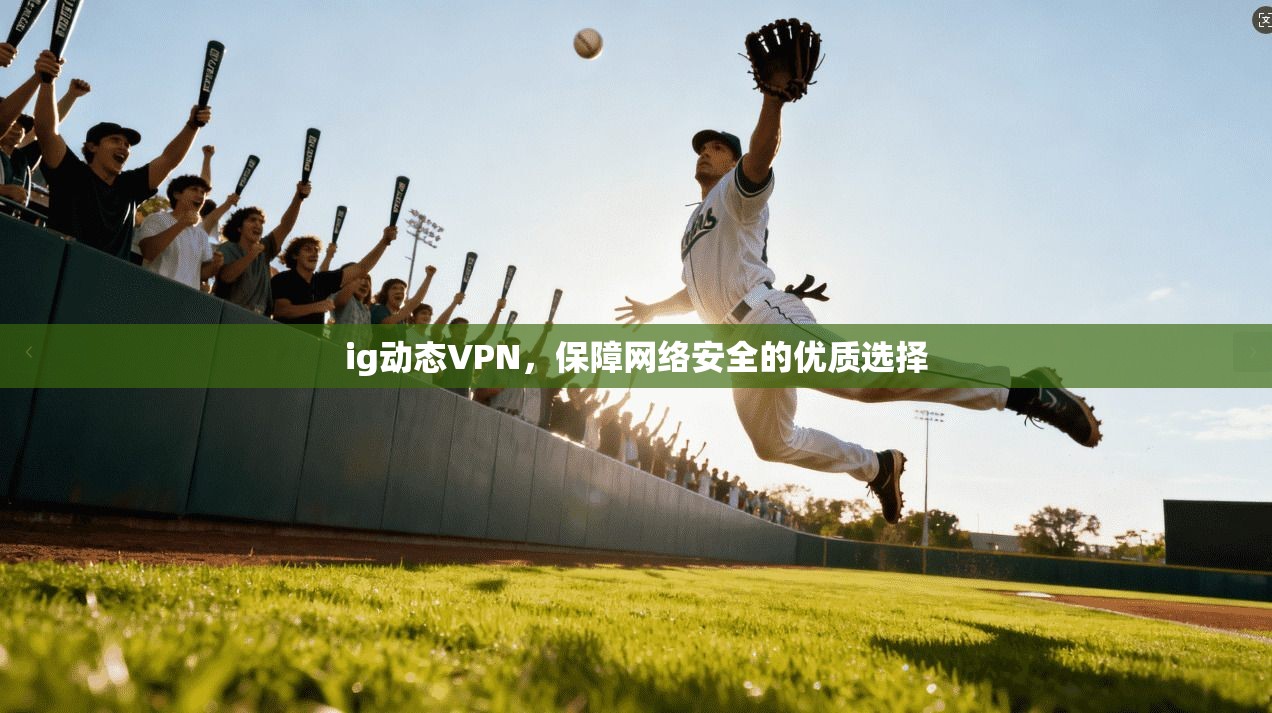 ig动态VPN，保障网络安全的优质选择