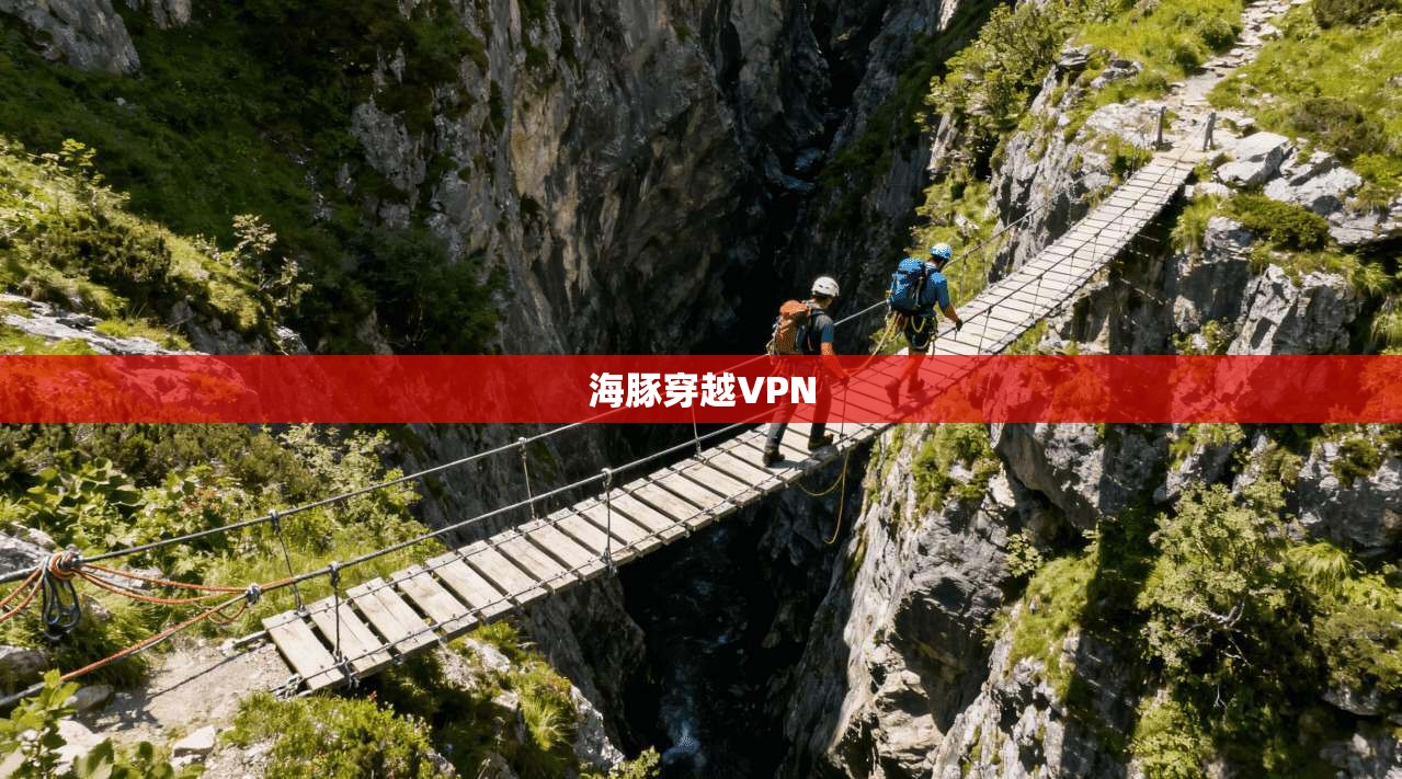 海豚穿越VPN