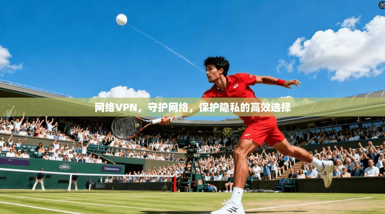 网络VPN，守护网络，保护隐私的高效选择