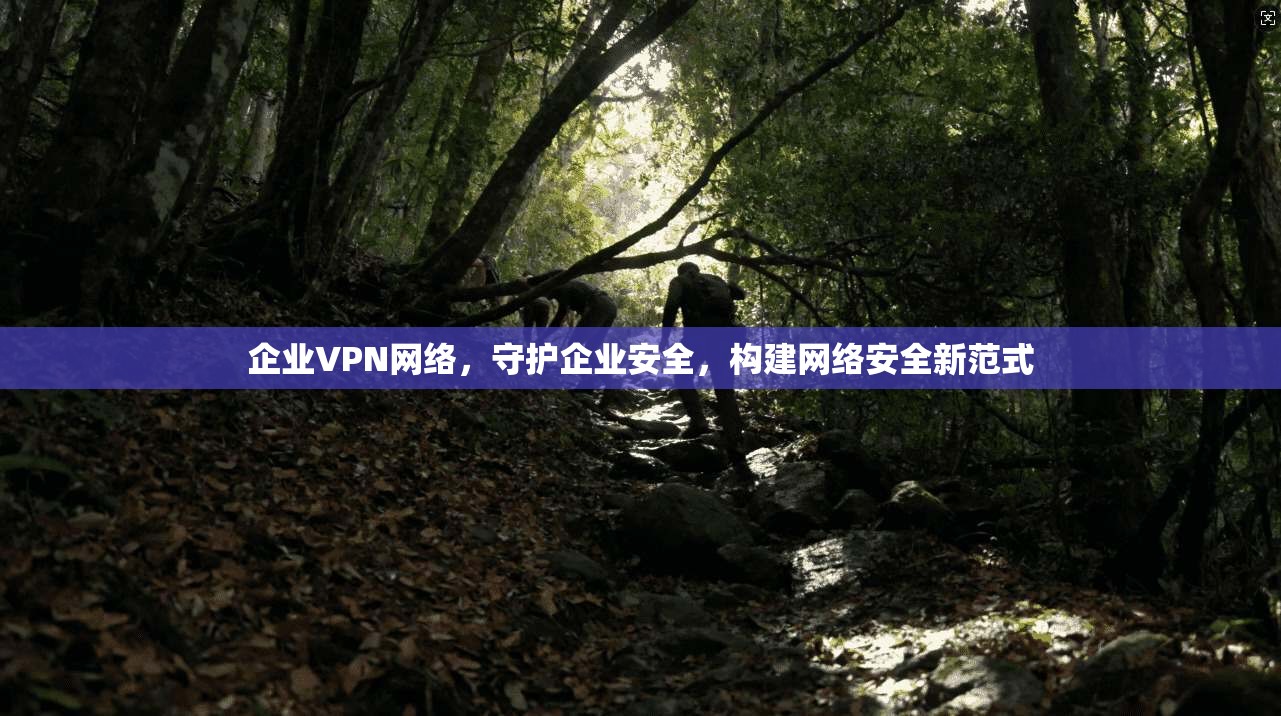 企业VPN网络，守护企业安全，构建网络安全新范式