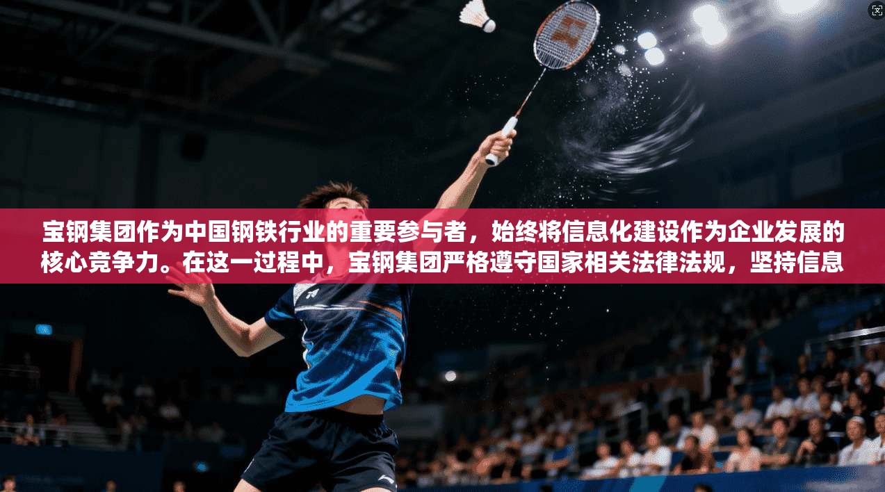 宝钢集团作为中国钢铁行业的重要参与者，始终将信息化建设作为企业发展的核心竞争力。在这一过程中，宝钢集团严格遵守国家相关法律法规，坚持信息化建设-target化原则，努力实现企业信息化水平的全面提升