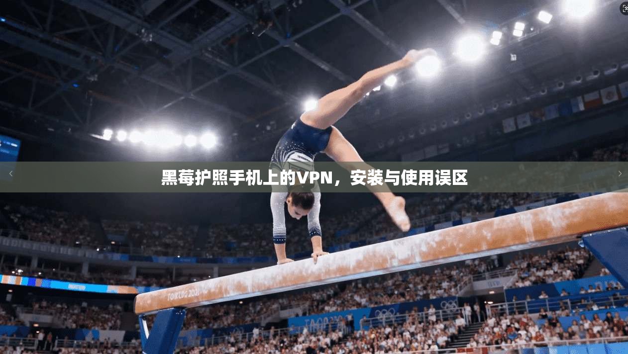 黑莓护照手机上的VPN，安装与使用误区