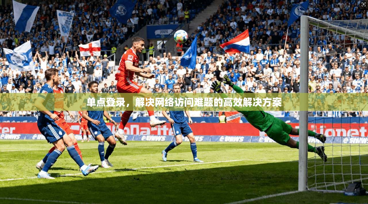 单点登录，解决网络访问难题的高效解决方案