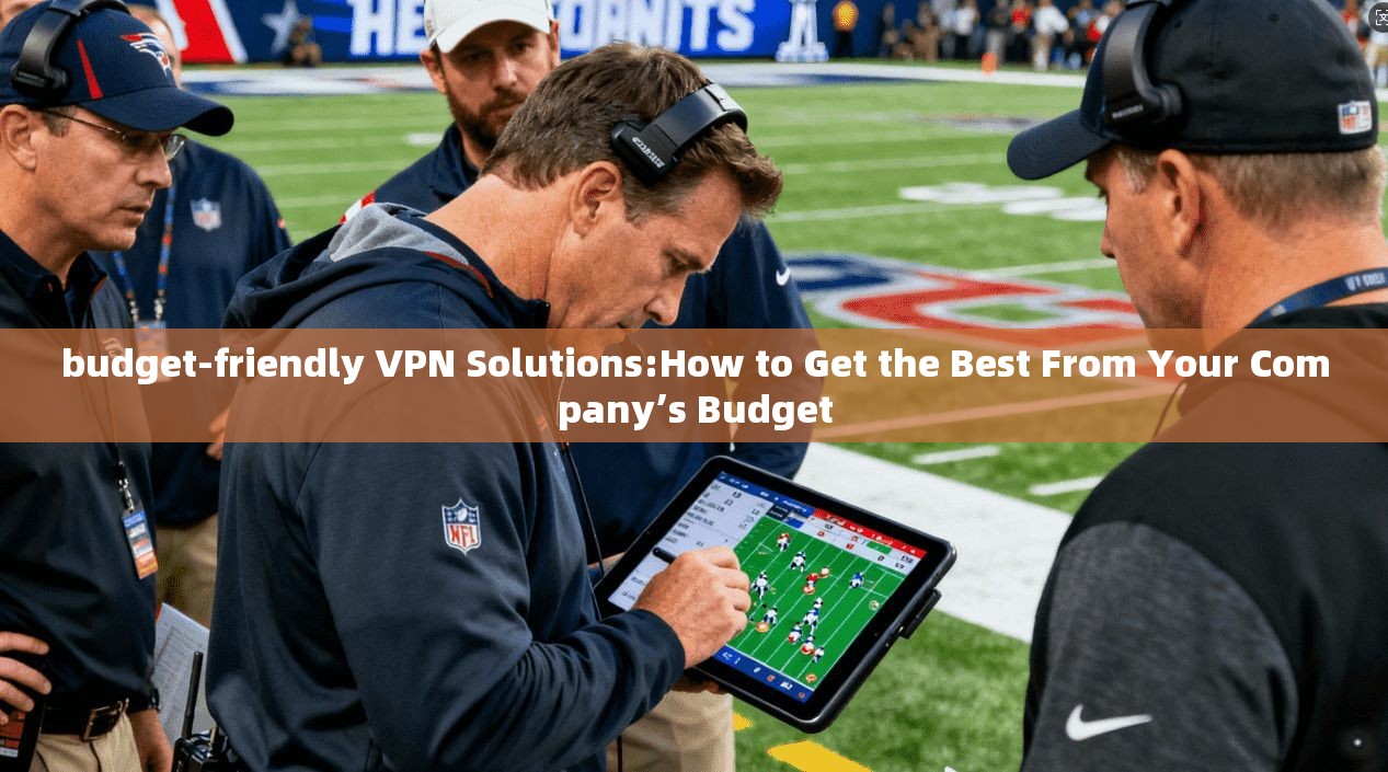 budget-friendly VPN Solutions:How to Get the Best From Your Company’s Budget