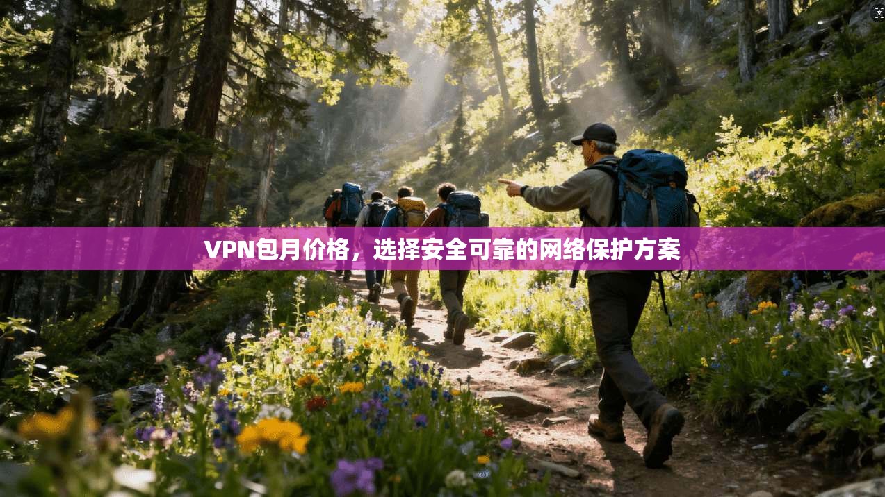VPN包月价格，选择安全可靠的网络保护方案