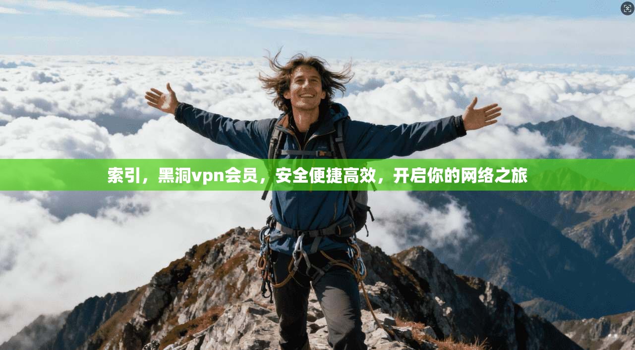 索引，黑洞vpn会员，安全便捷高效，开启你的网络之旅