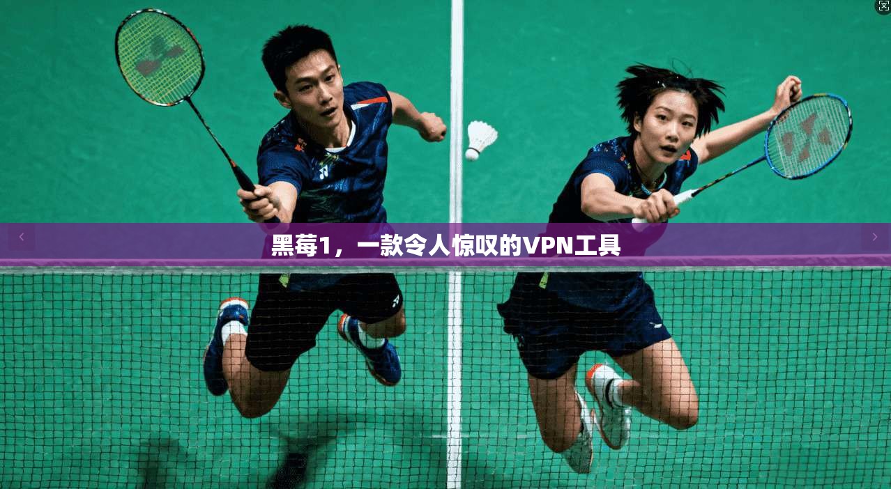 黑莓1，一款令人惊叹的VPN工具