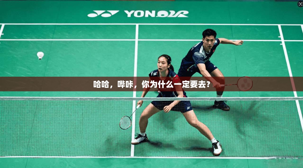 哈哈，哔咔，你为什么一定要去？