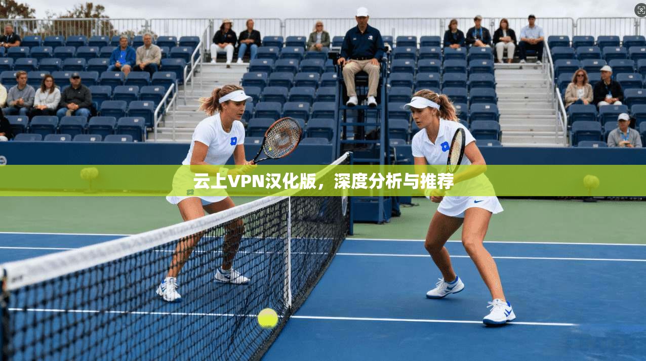 云上VPN汉化版，深度分析与推荐