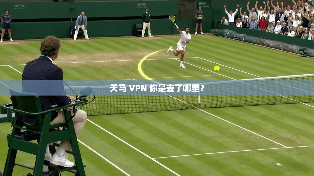天马 VPN 你是去了哪里？