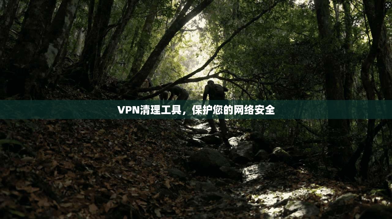 VPN清理工具，保护您的网络安全