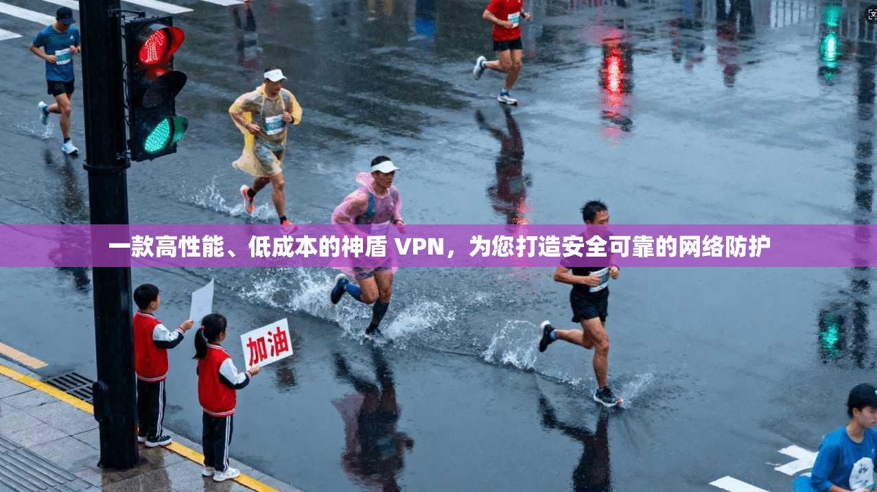 一款高性能、低成本的神盾 VPN，为您打造安全可靠的网络防护