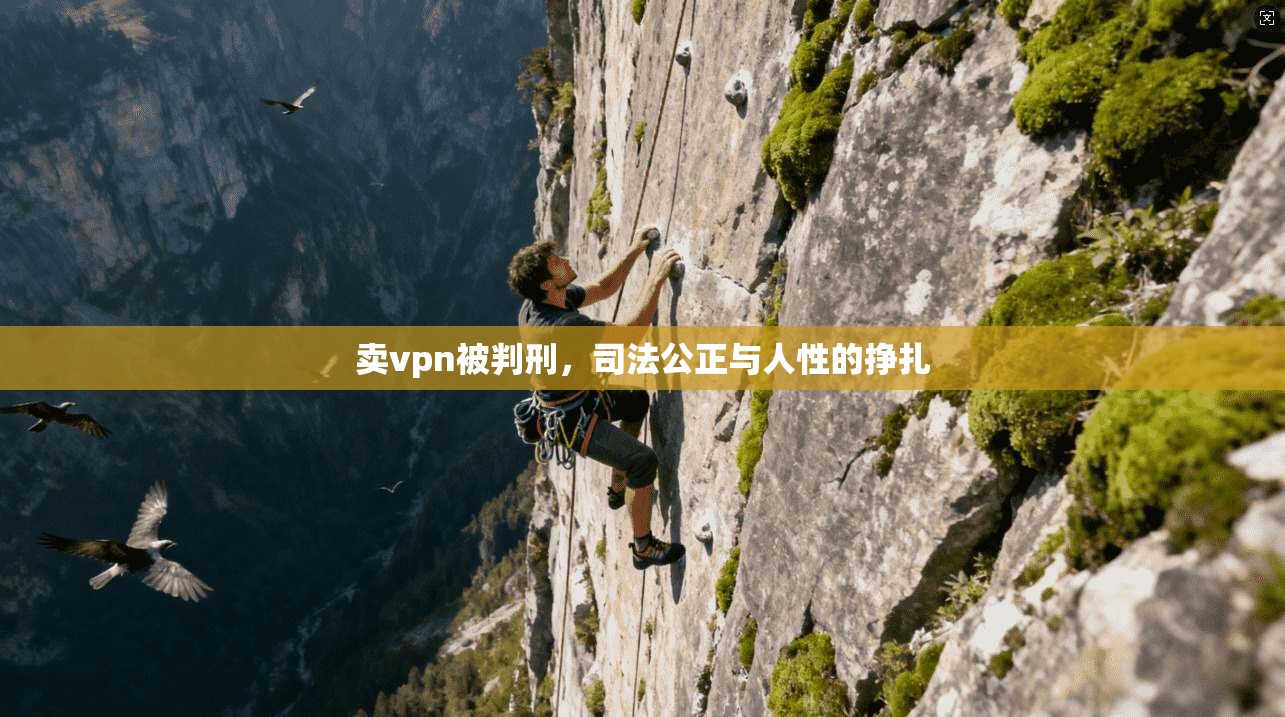 卖vpn被判刑，司法公正与人性的挣扎