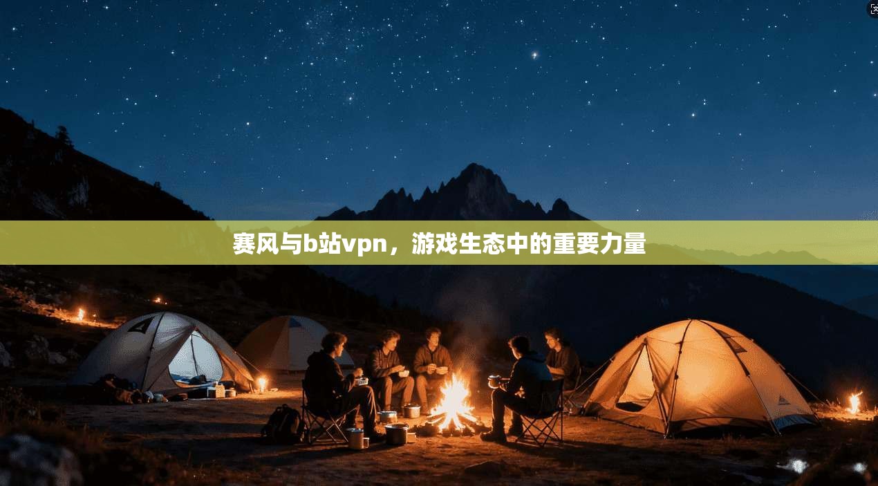 赛风与b站vpn，游戏生态中的重要力量
