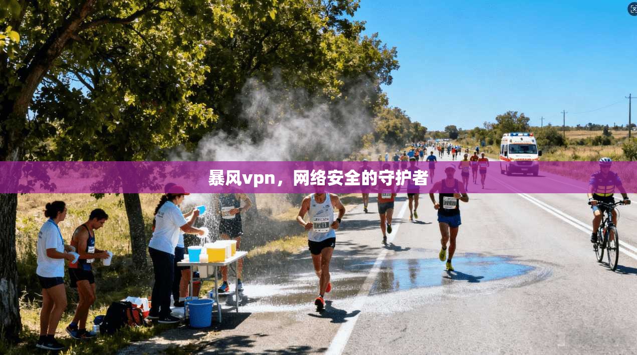 暴风vpn，网络安全的守护者