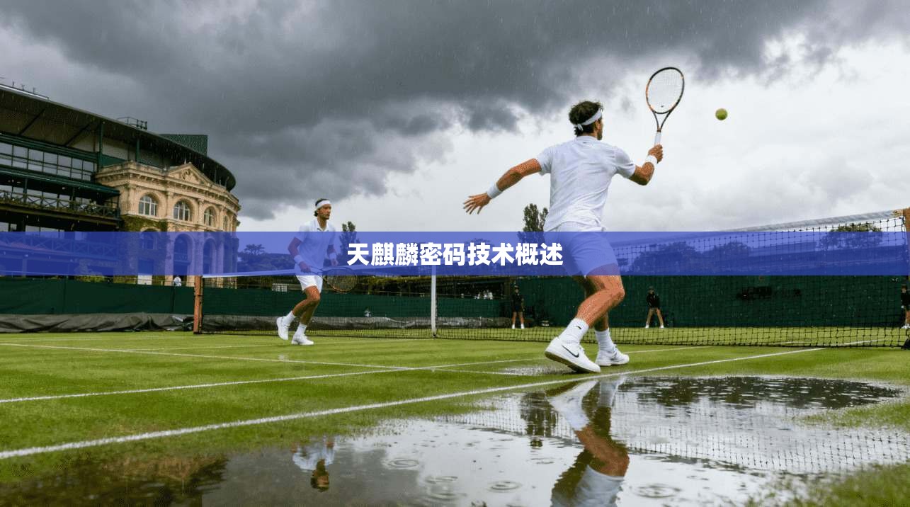 天麒麟密码技术概述