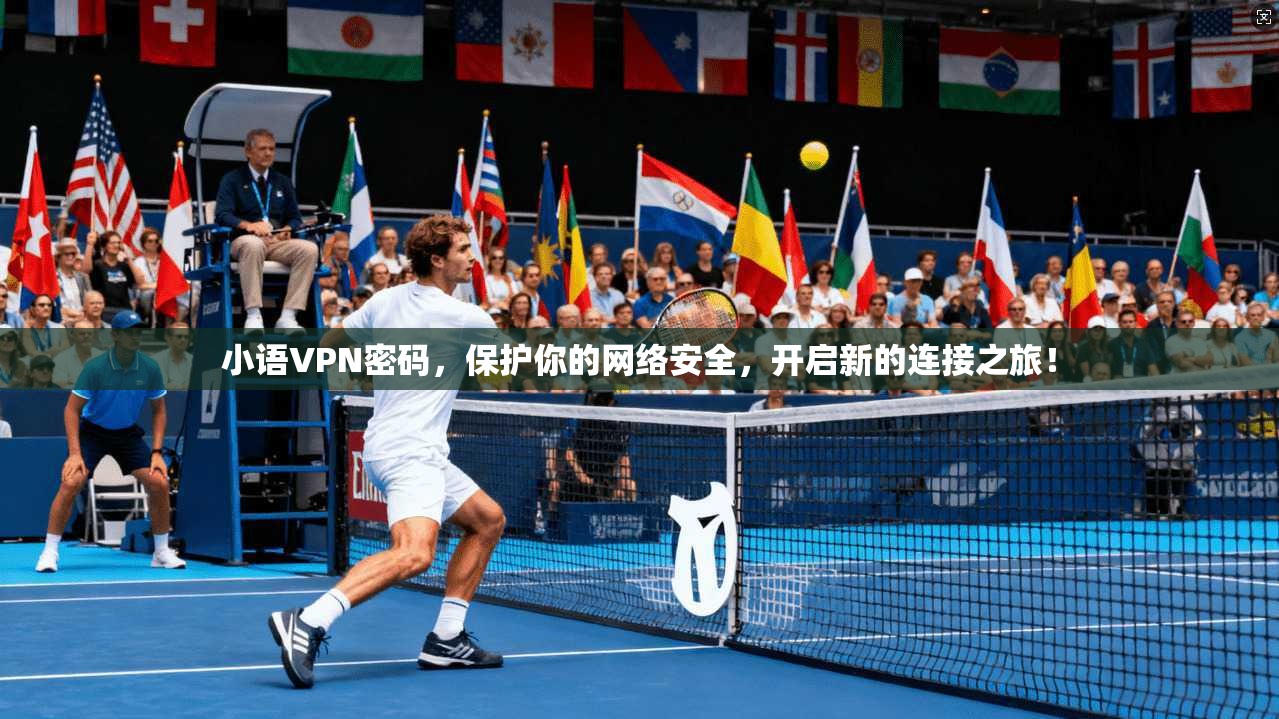 小语VPN密码，保护你的网络安全，开启新的连接之旅！