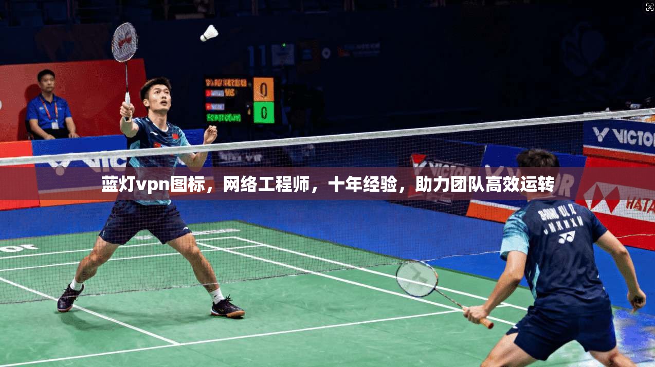 蓝灯vpn图标，网络工程师，十年经验，助力团队高效运转