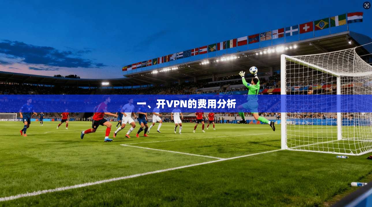 一、开VPN的费用分析