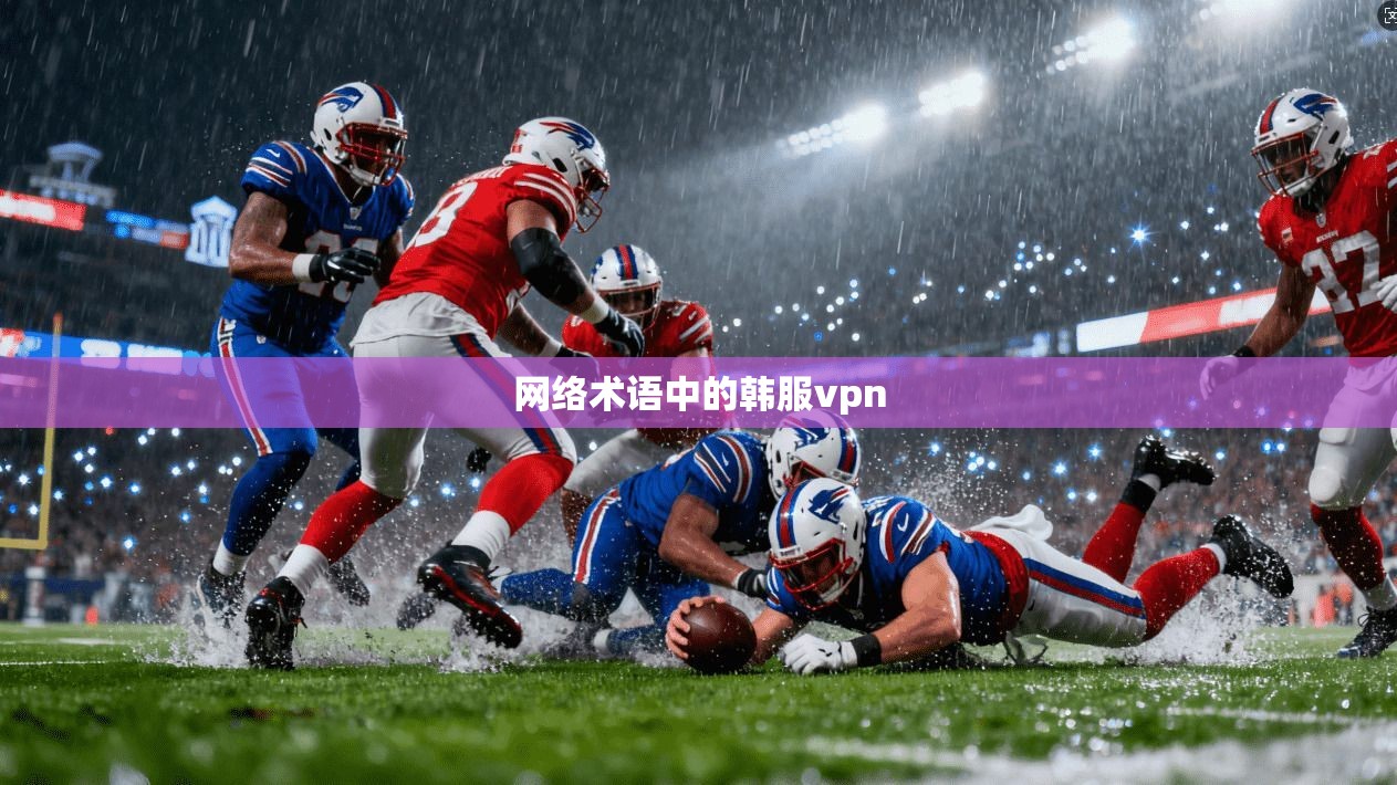 网络术语中的韩服vpn