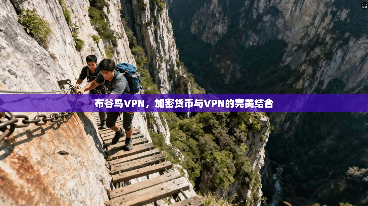布谷鸟VPN，加密货币与VPN的完美结合