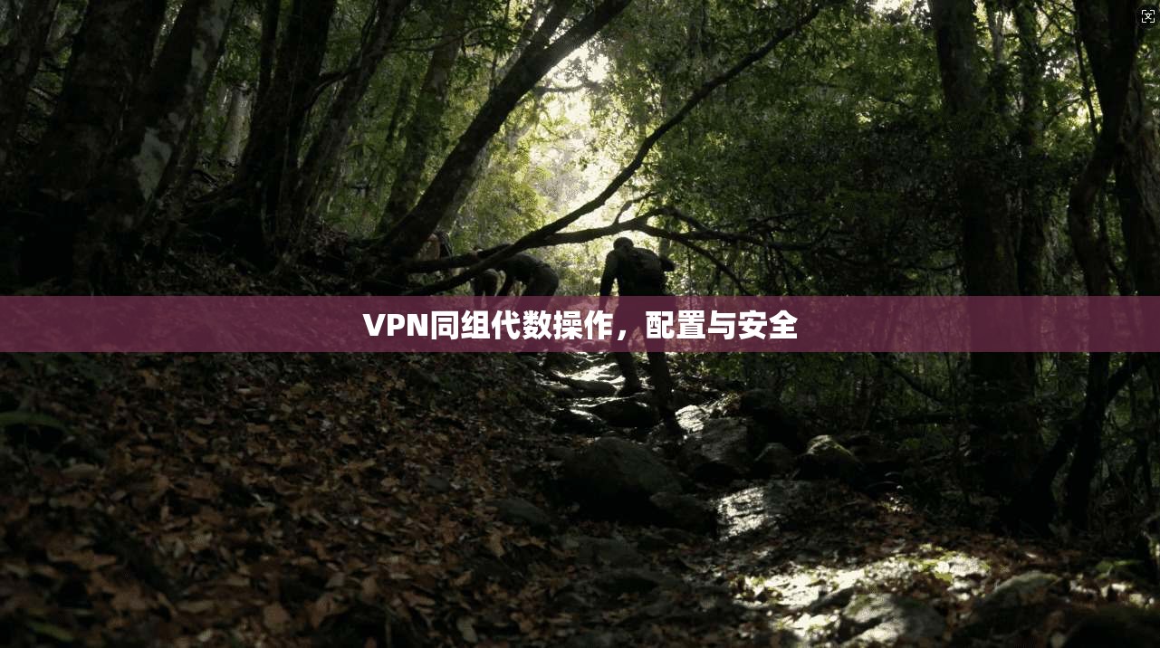 VPN同组代数操作，配置与安全