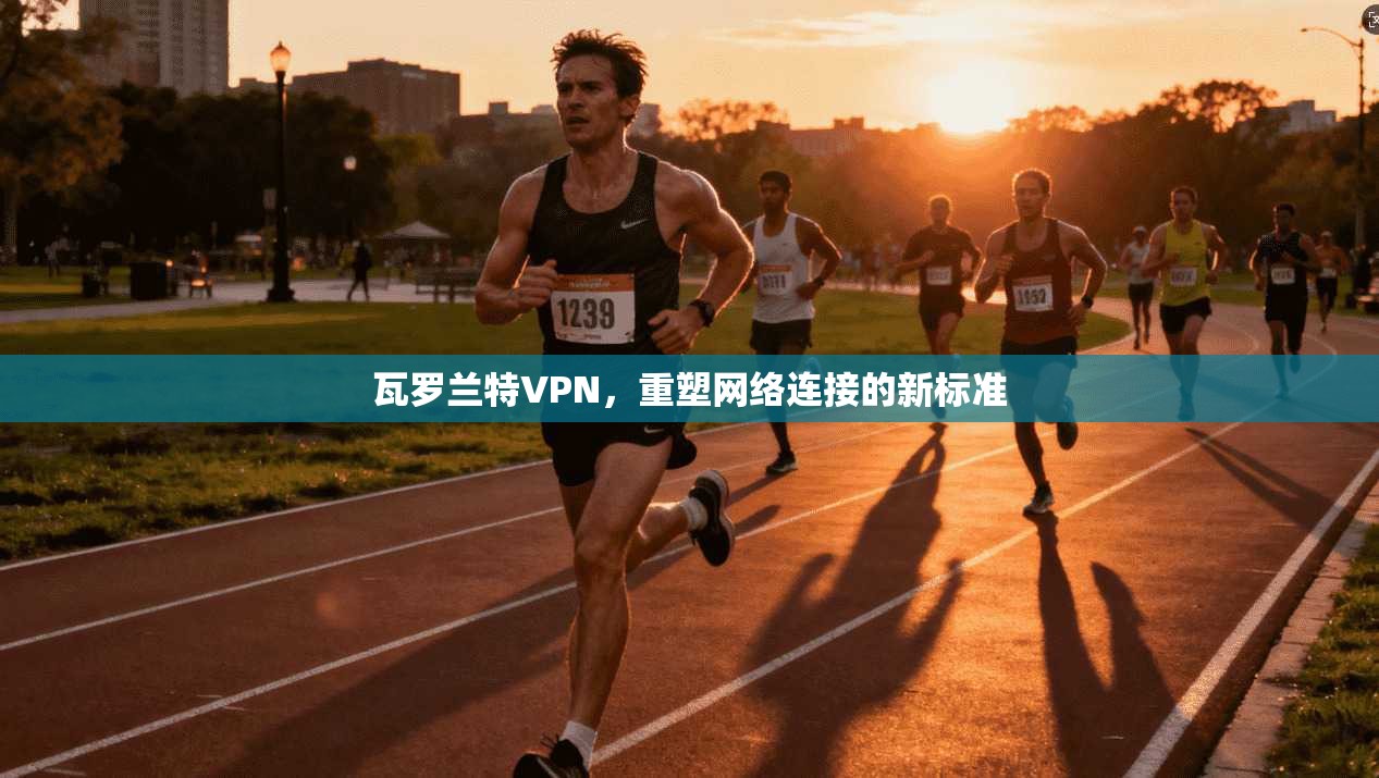 瓦罗兰特VPN，重塑网络连接的新标准