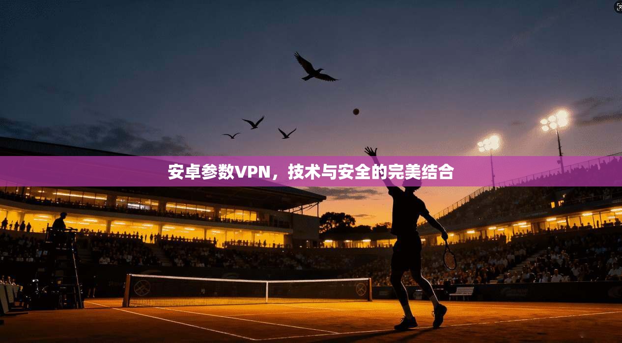 安卓参数VPN，技术与安全的完美结合