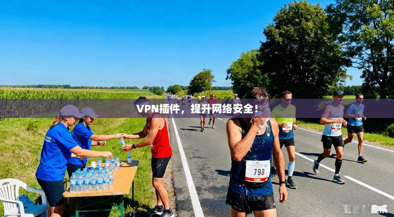 VPN插件，提升网络安全！
