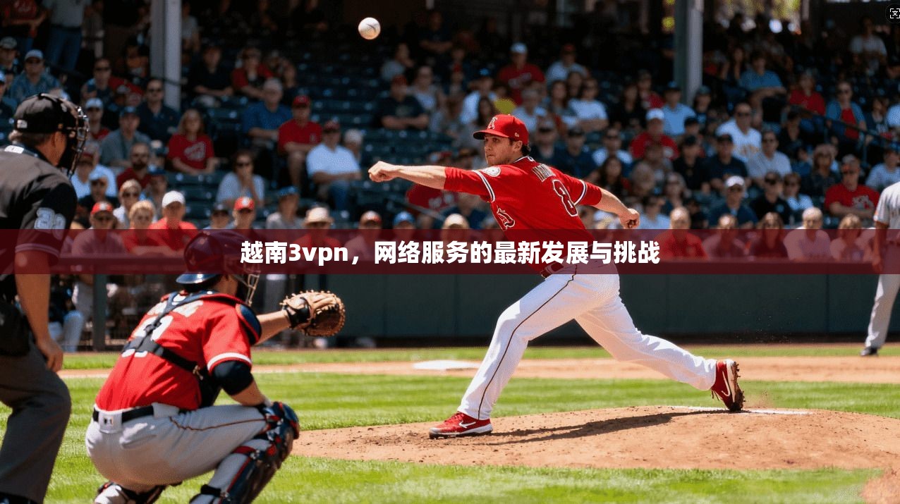 越南3vpn，网络服务的最新发展与挑战