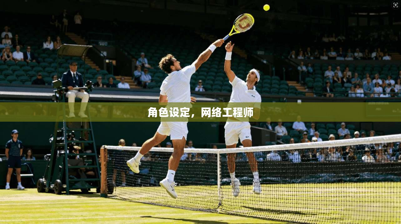 角色设定，网络工程师