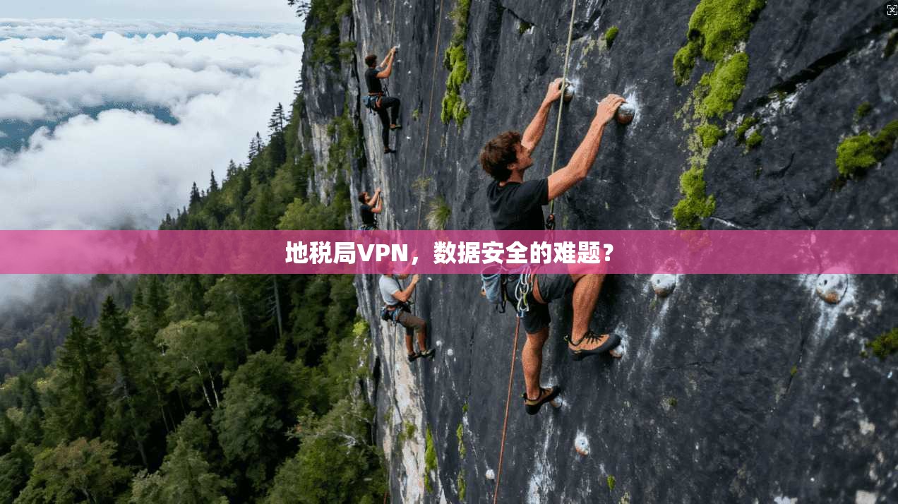 地税局VPN，数据安全的难题？