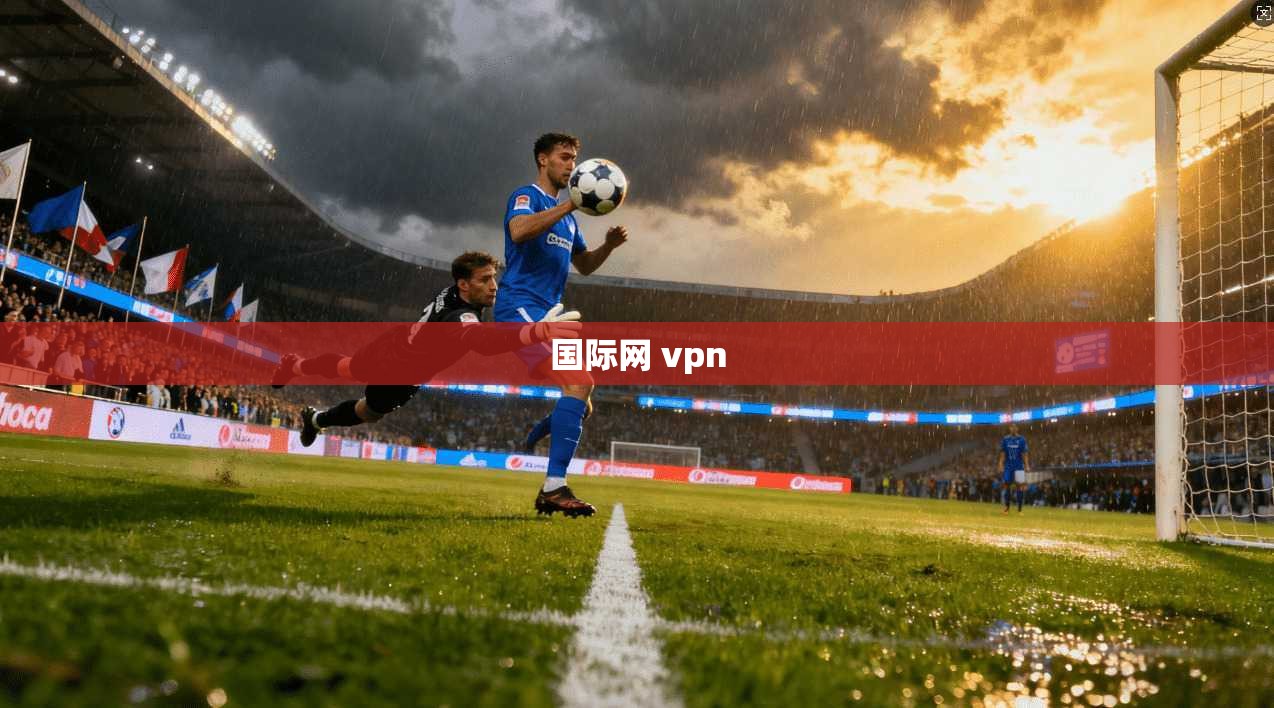 国际网 vpn