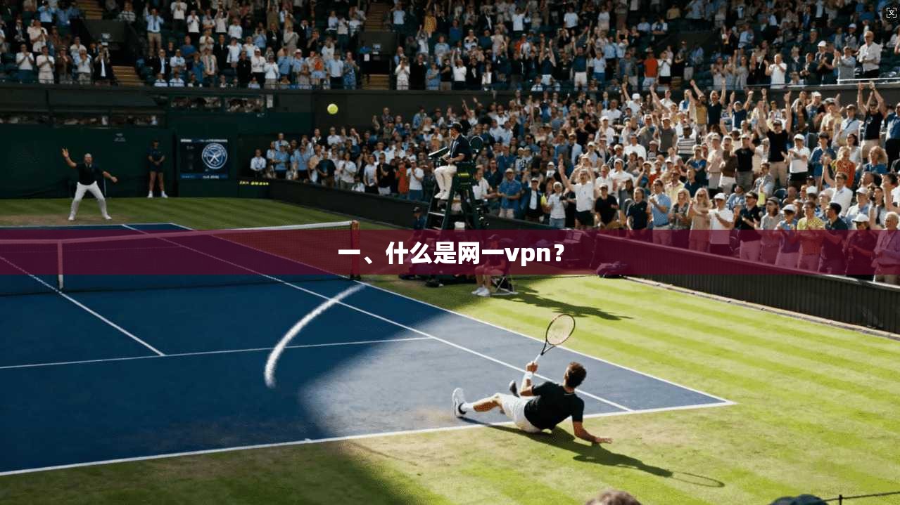 一、什么是网一vpn？